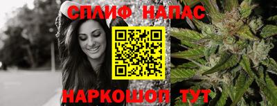прущие грибы Ачхой-Мартан